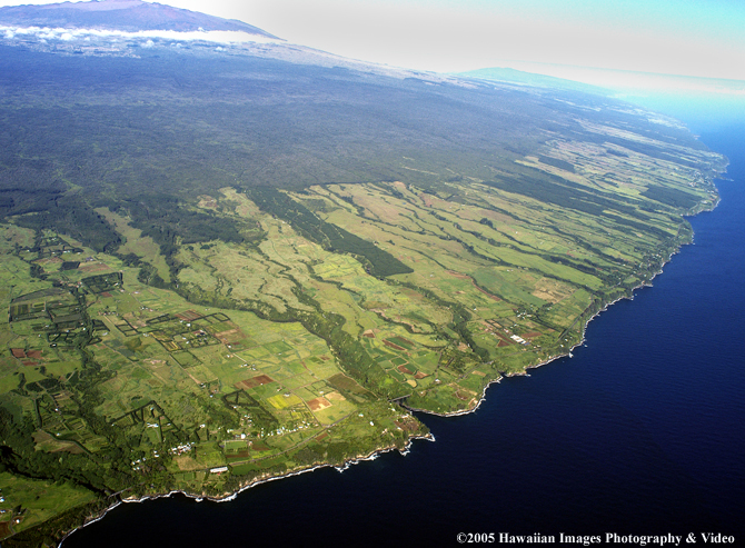 Hauoli dot