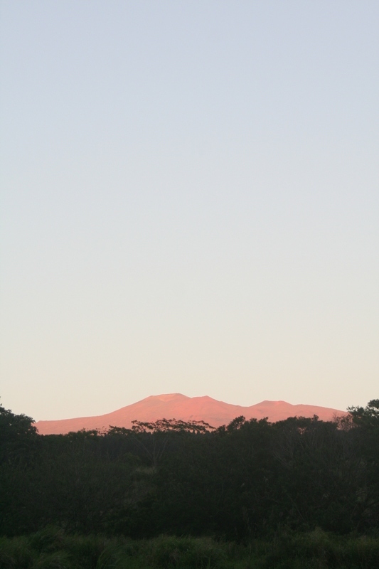 Mauna kea resplendent
