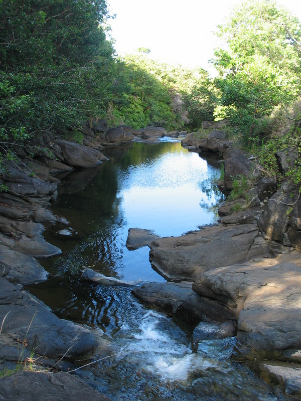 Big pool and picnic area