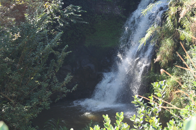 Closeup of pool