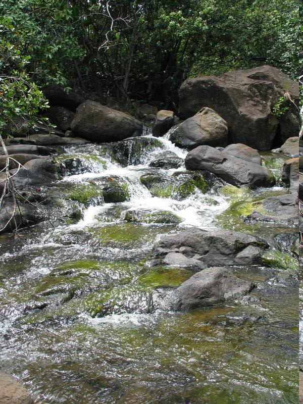 Green waters