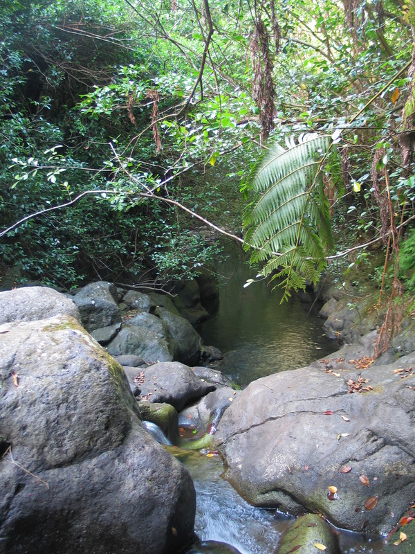 Peaceful stream view