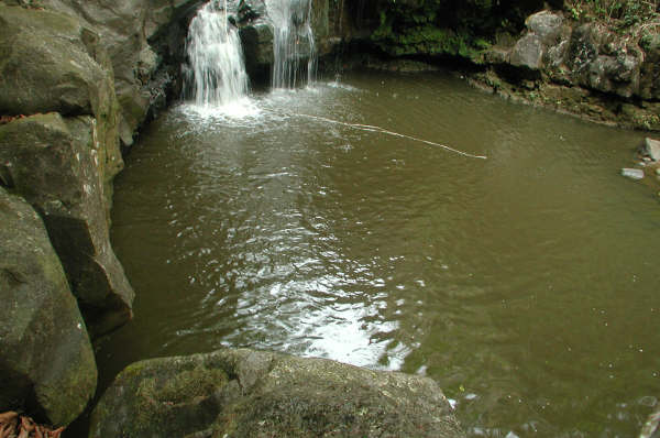 Pictures 508