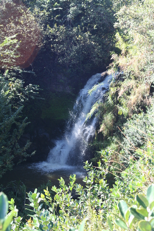 Pretty falls