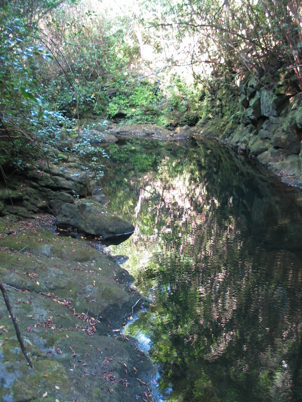 Reflections in the pool