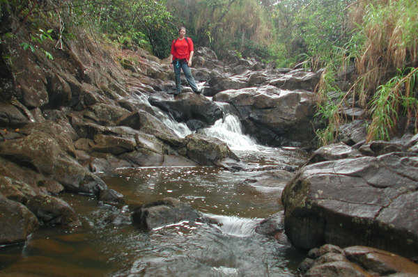 Rose and the stream