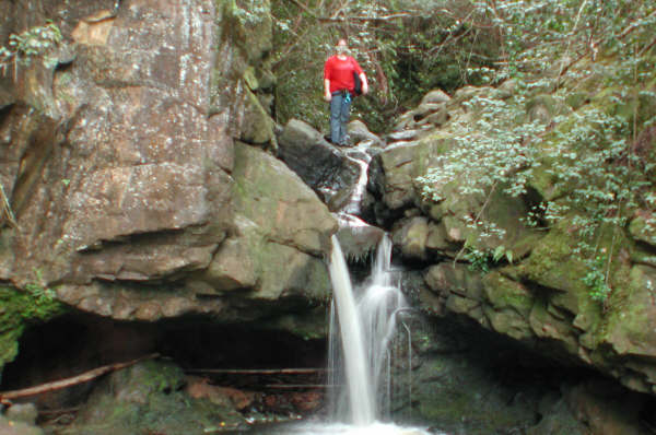Rose on top of the small fall