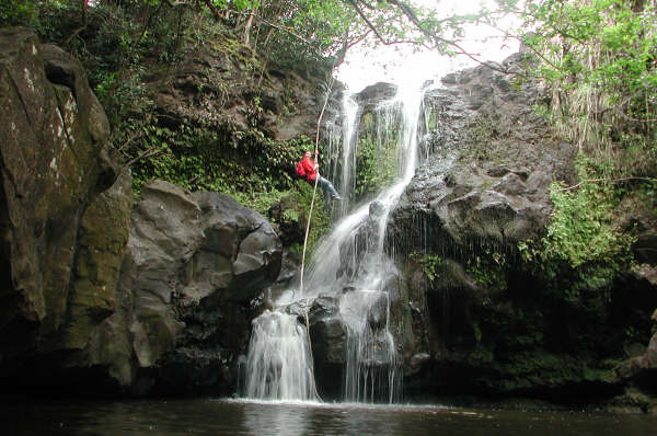 Rose rappels down the pretty fall