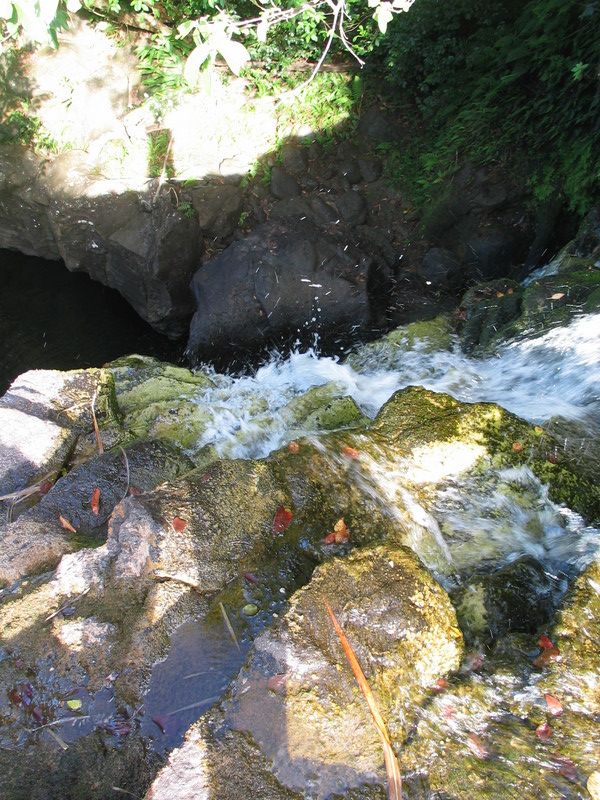Standing on top of the falls