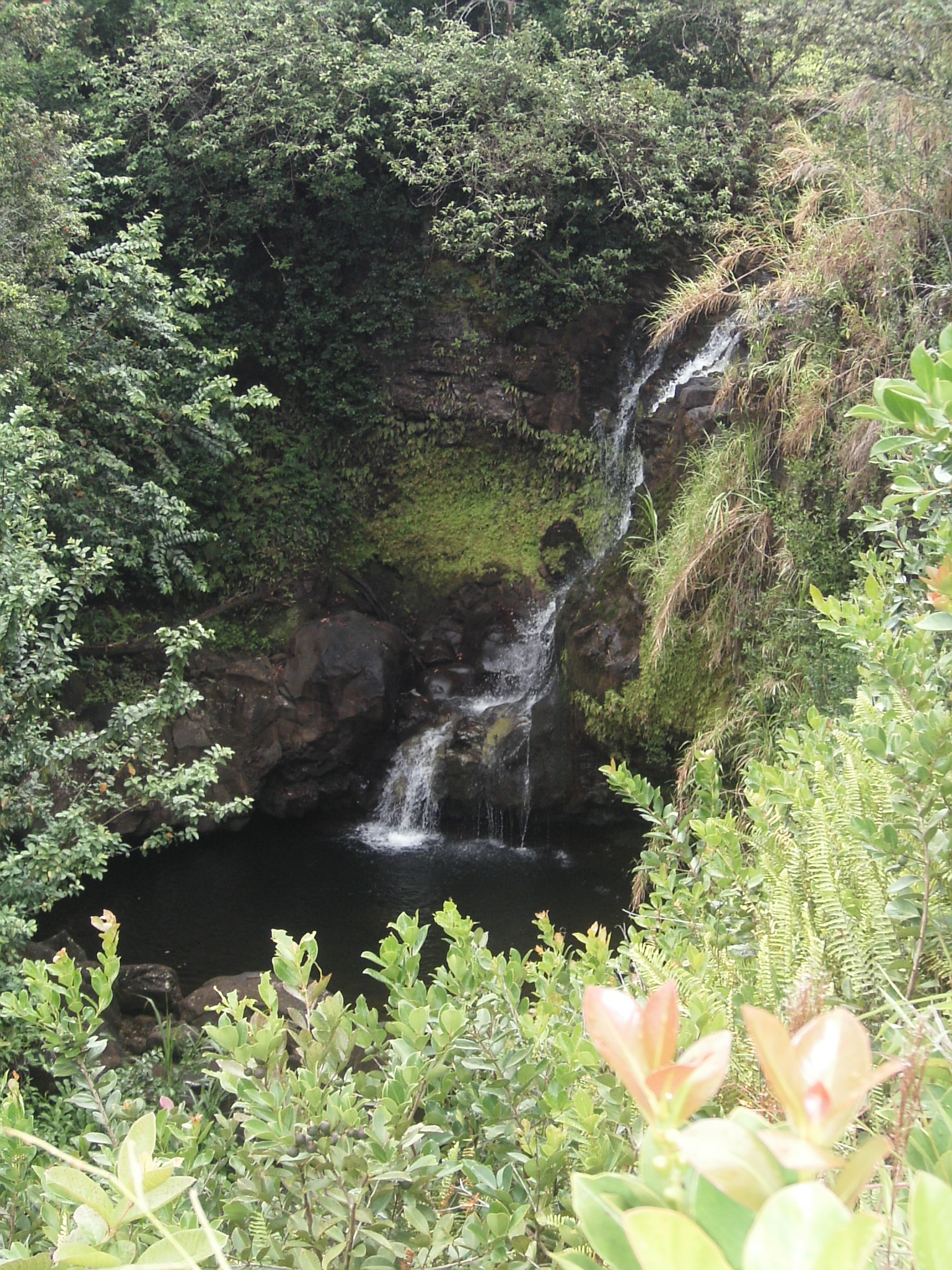 The little cascade