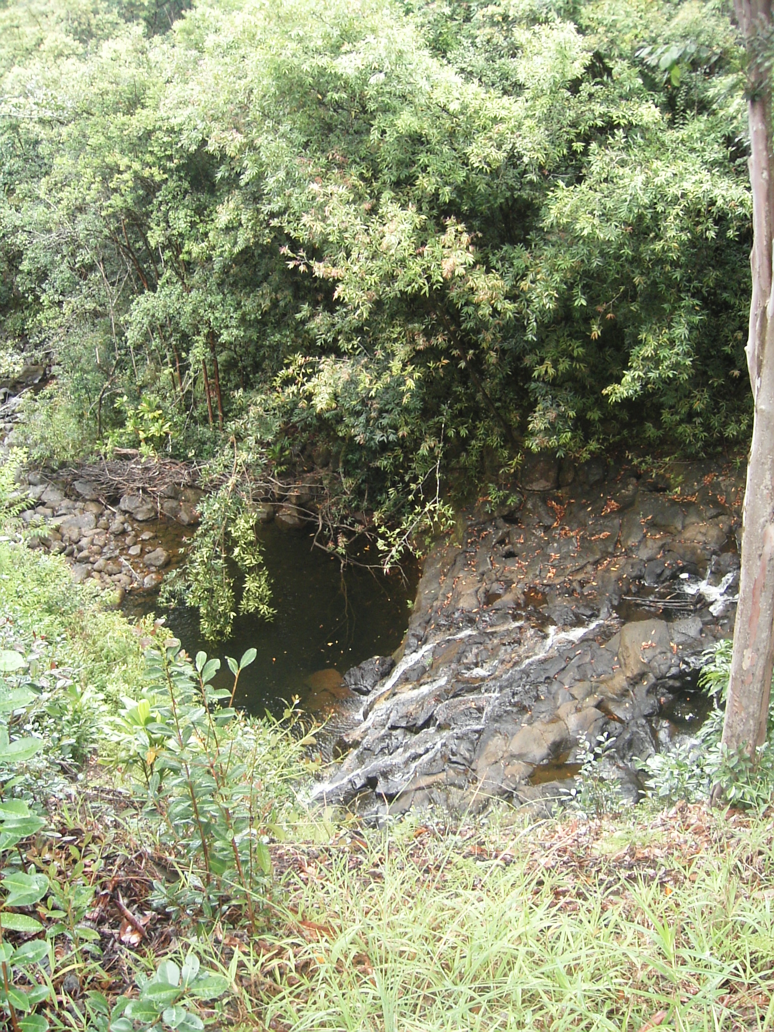 The little cascade from the overlook