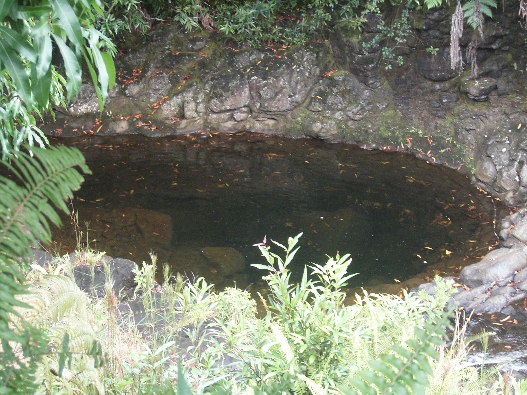 The pool from the overlook