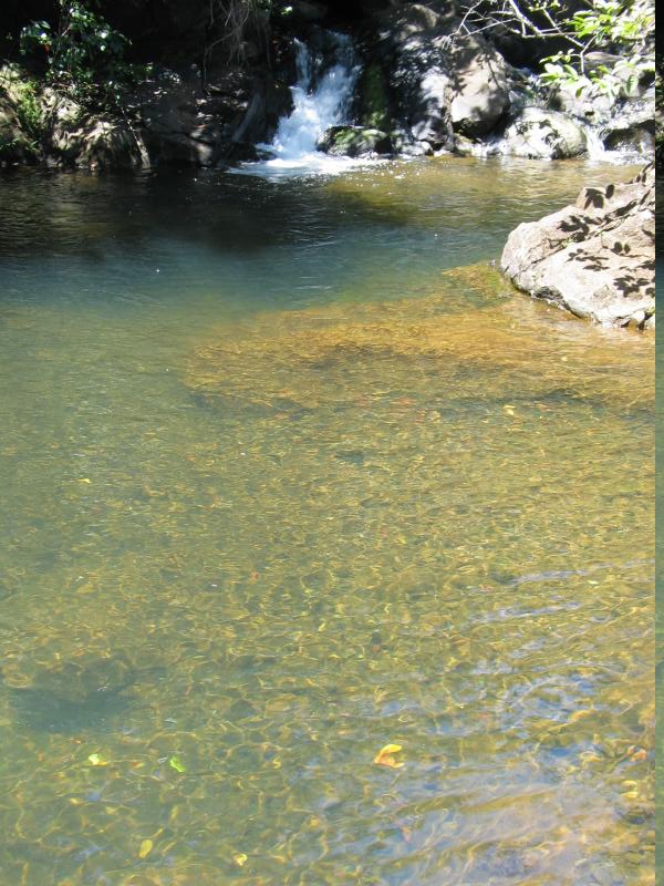 The pools