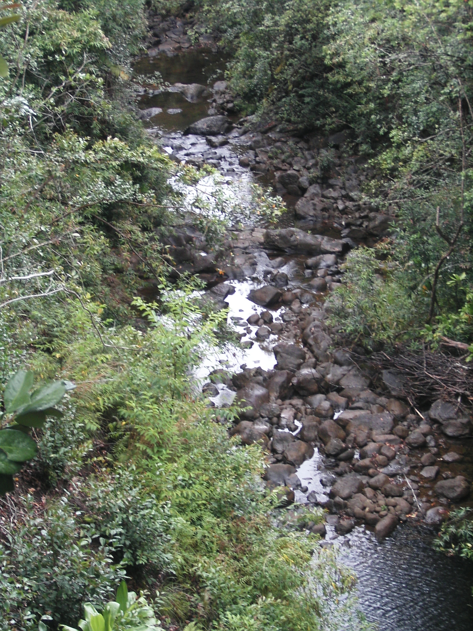 The stream flowing down