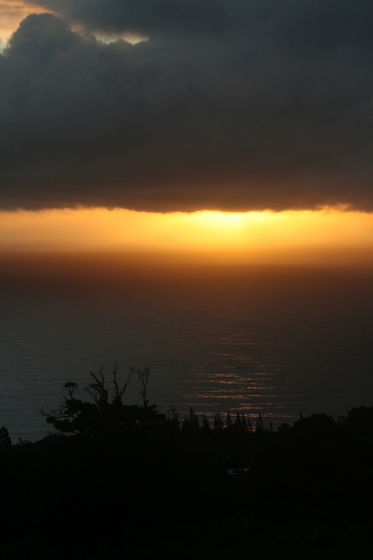 Clouds, sunrise, and mango tree