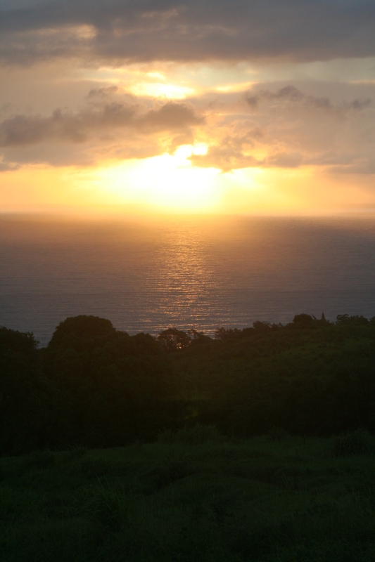 Really just the sun