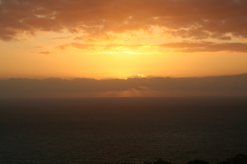 Sun, bashful