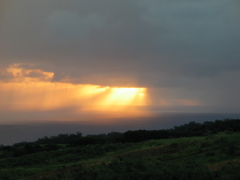 Sun coming through