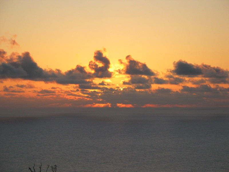 The sky is alive with orange