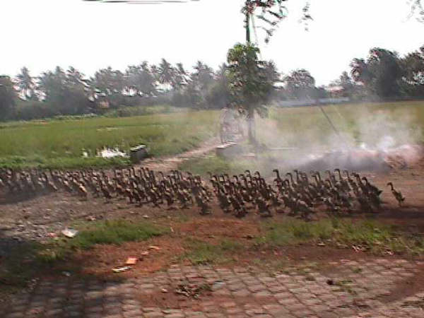 In front of factory