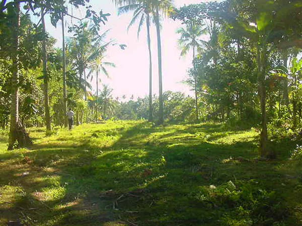 Selat long view100(1)