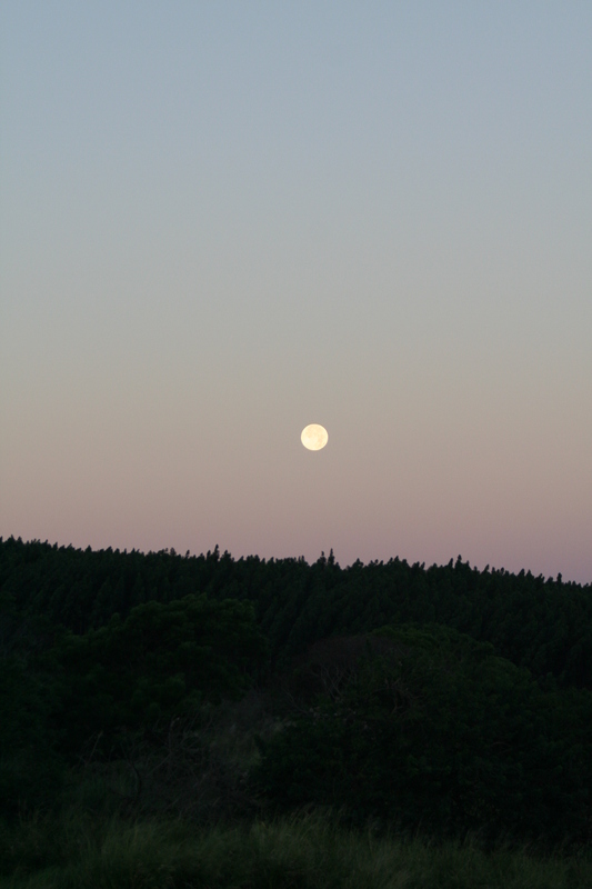 A colorful moonset