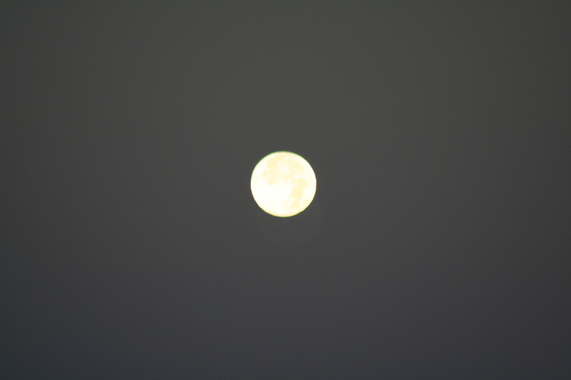 The full moon closeup