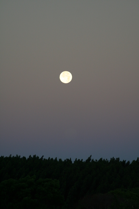 The moon setting