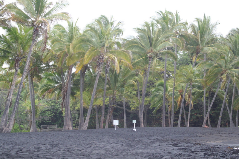 Punaluu black sand beach