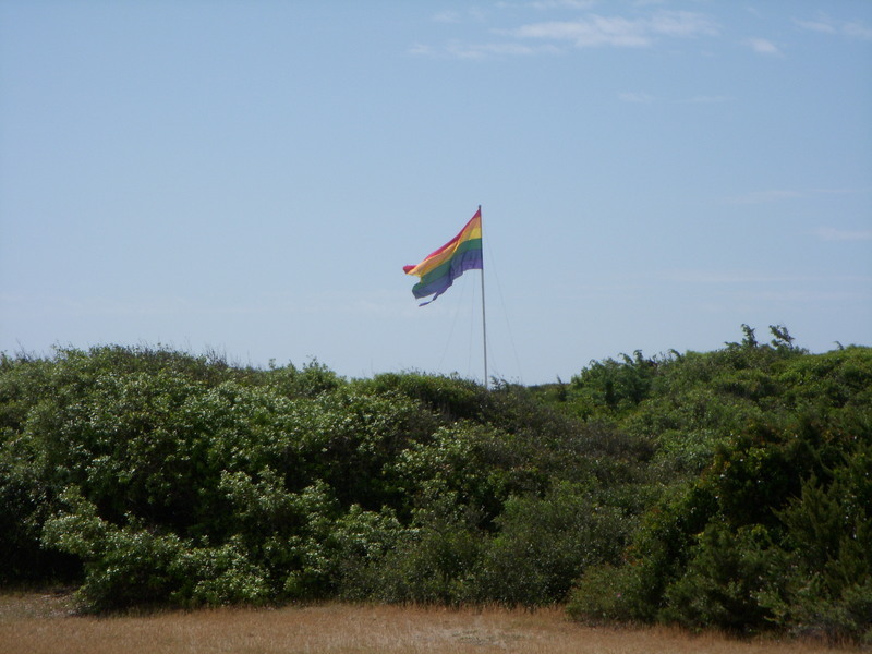 Gay flag at the nude beach