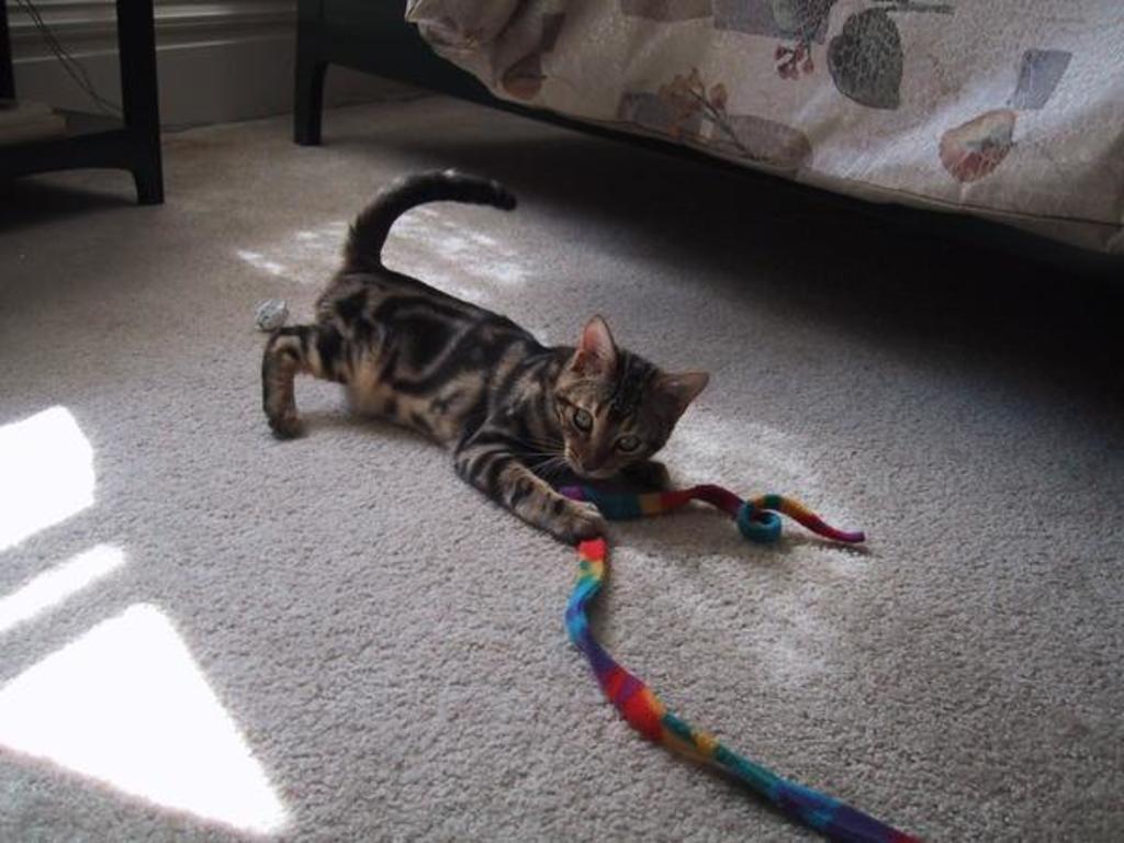 2001 mondo playing with the rainbow ribbon 20140820 1121793459